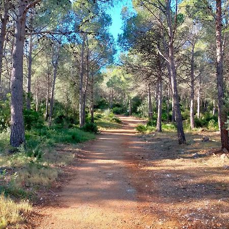 La Mallada Sant Jordi Exterior foto
