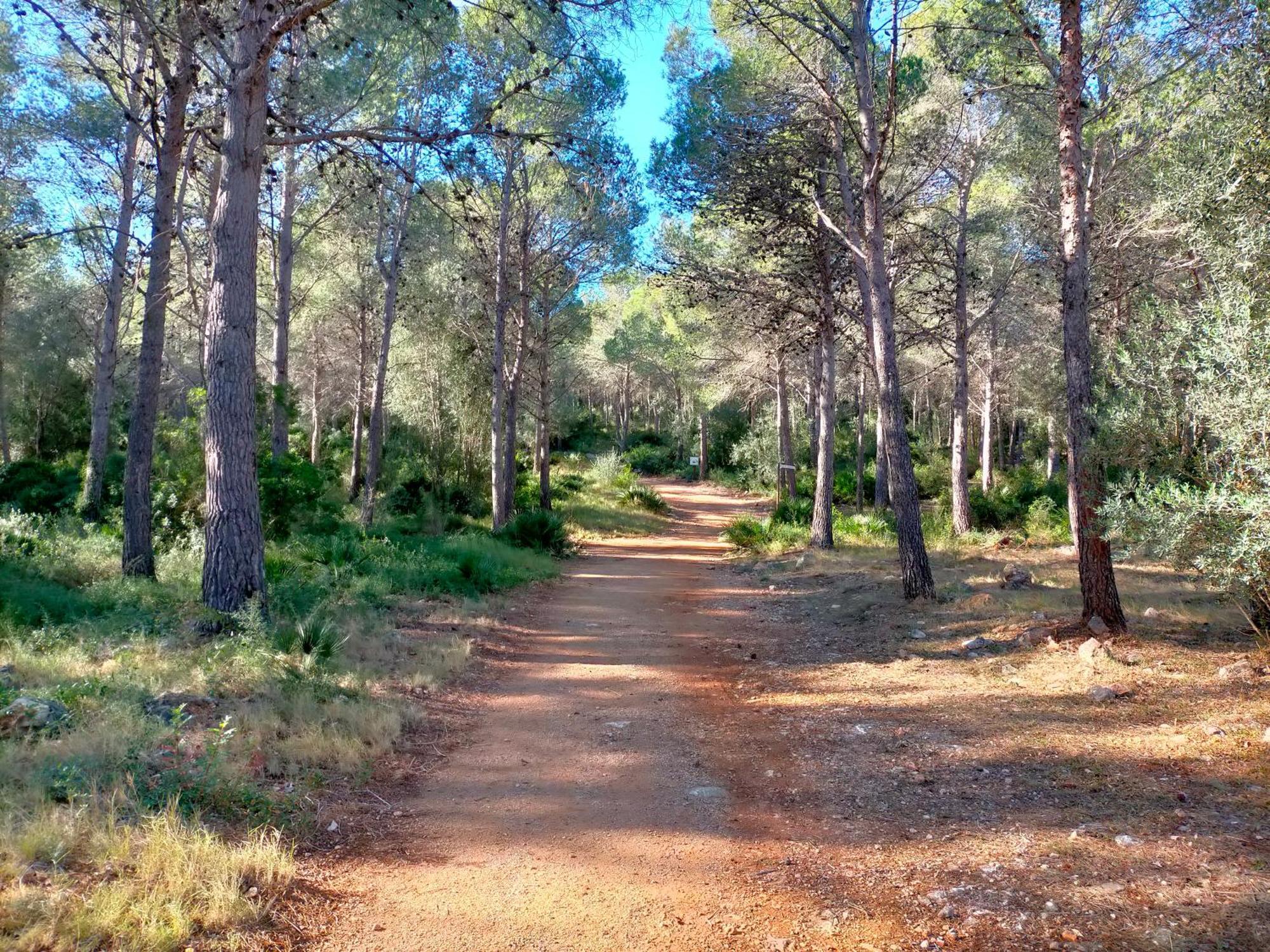 La Mallada Sant Jordi Exterior foto